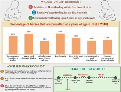 Breast Milk: A Meal Worth Having